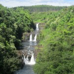 Waterfalls of Hawaii - Umauma Falls in World Botanical Gardens
